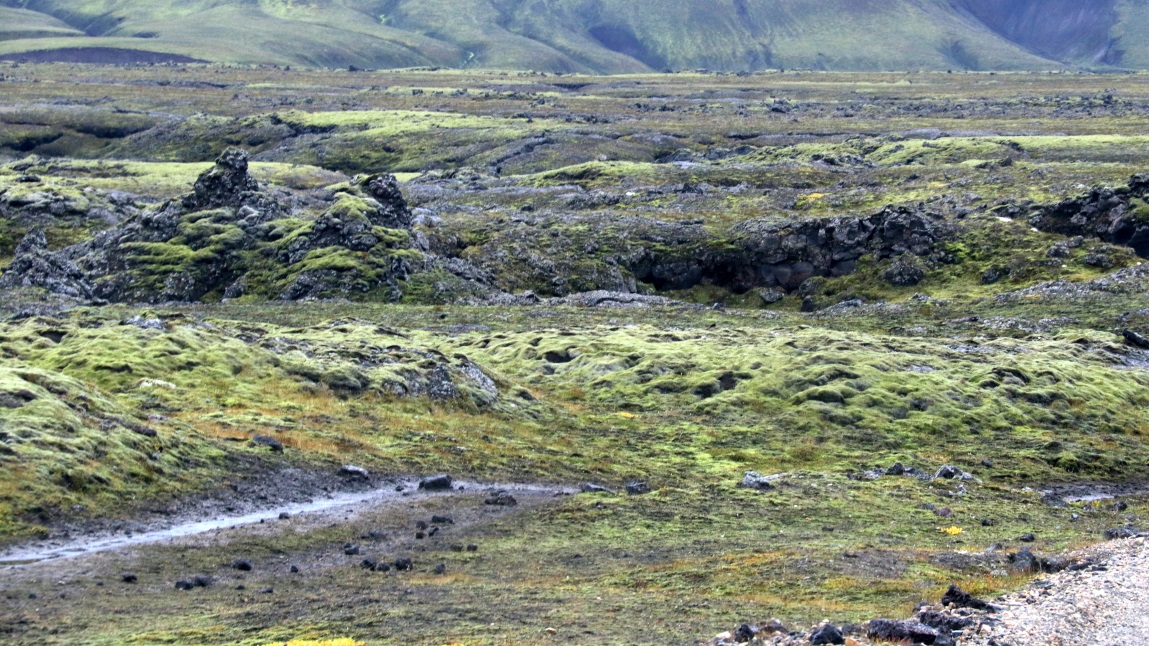 Hilltop