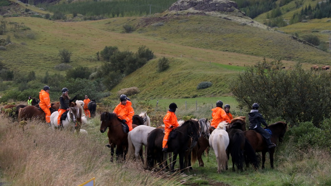 Sheep herder's conference