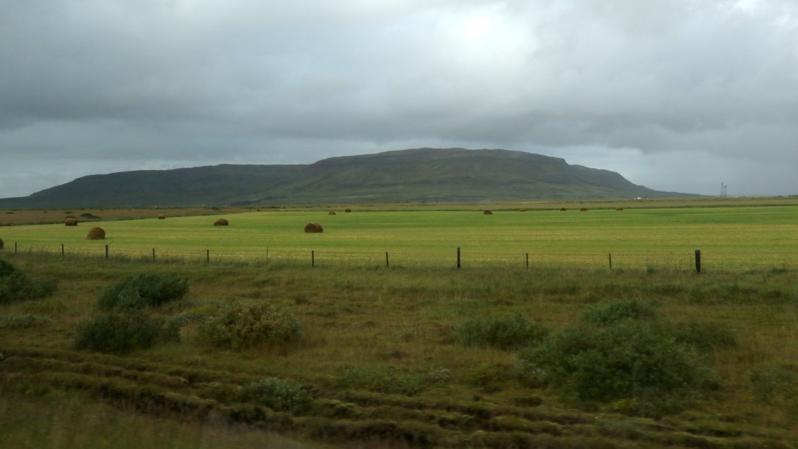 Large hay field