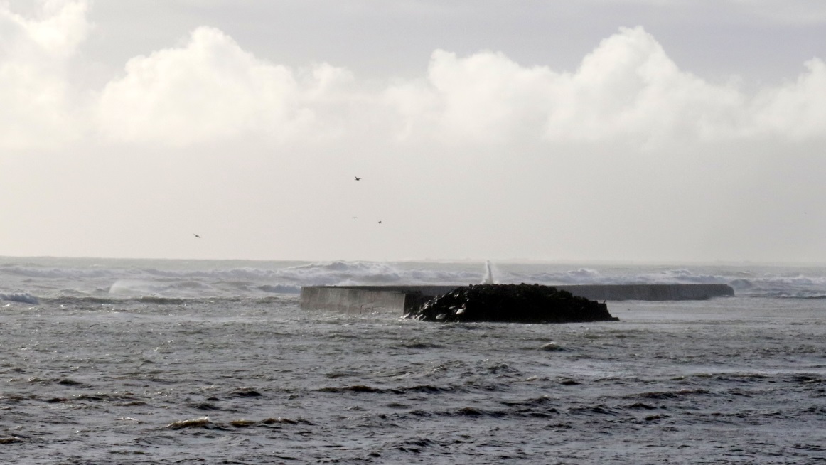 Waves