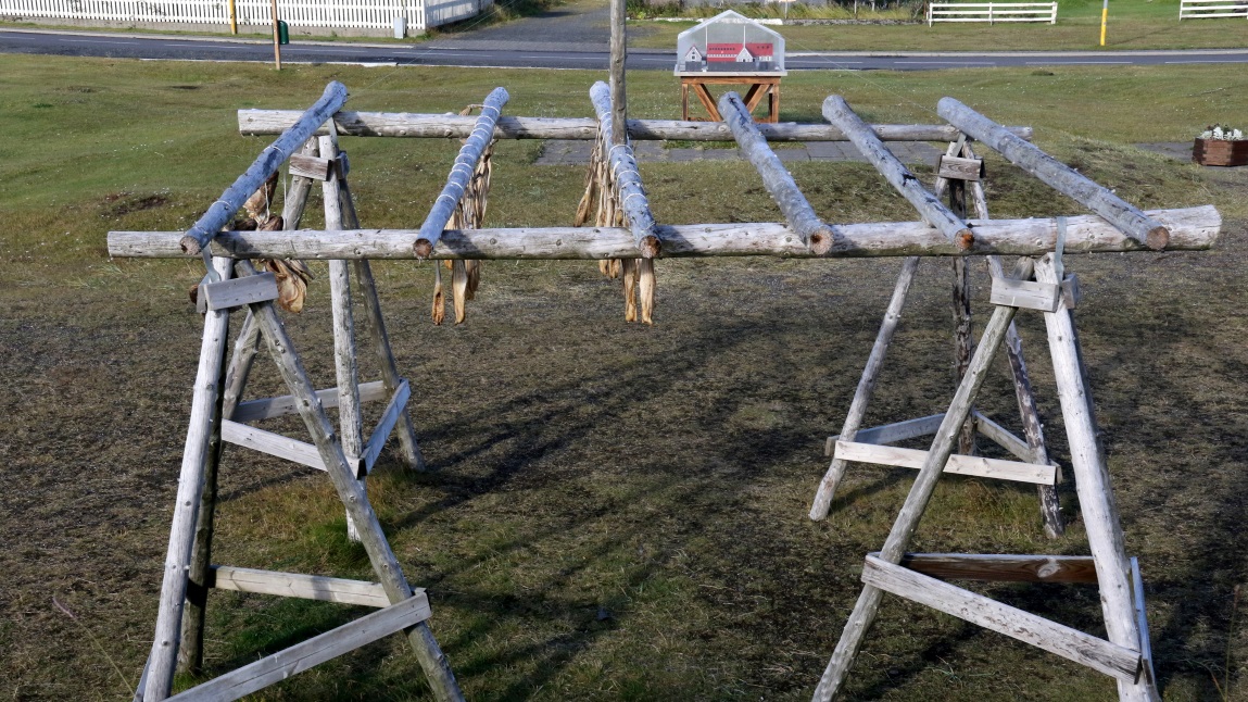 Fish on a drying rack