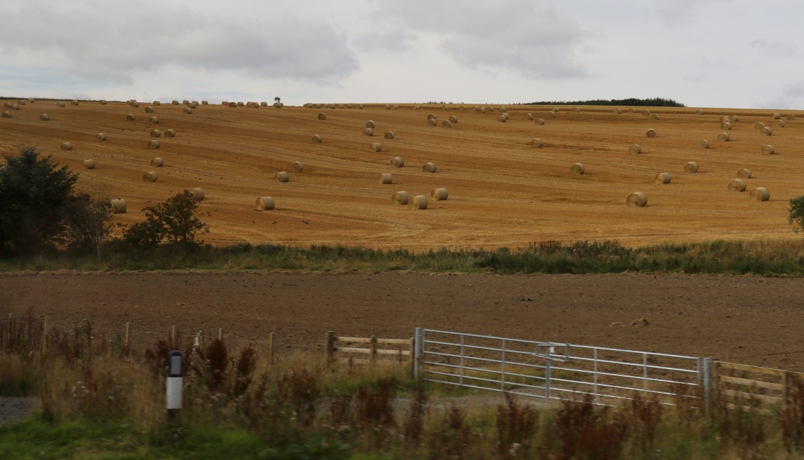 Hay farm in Falahill