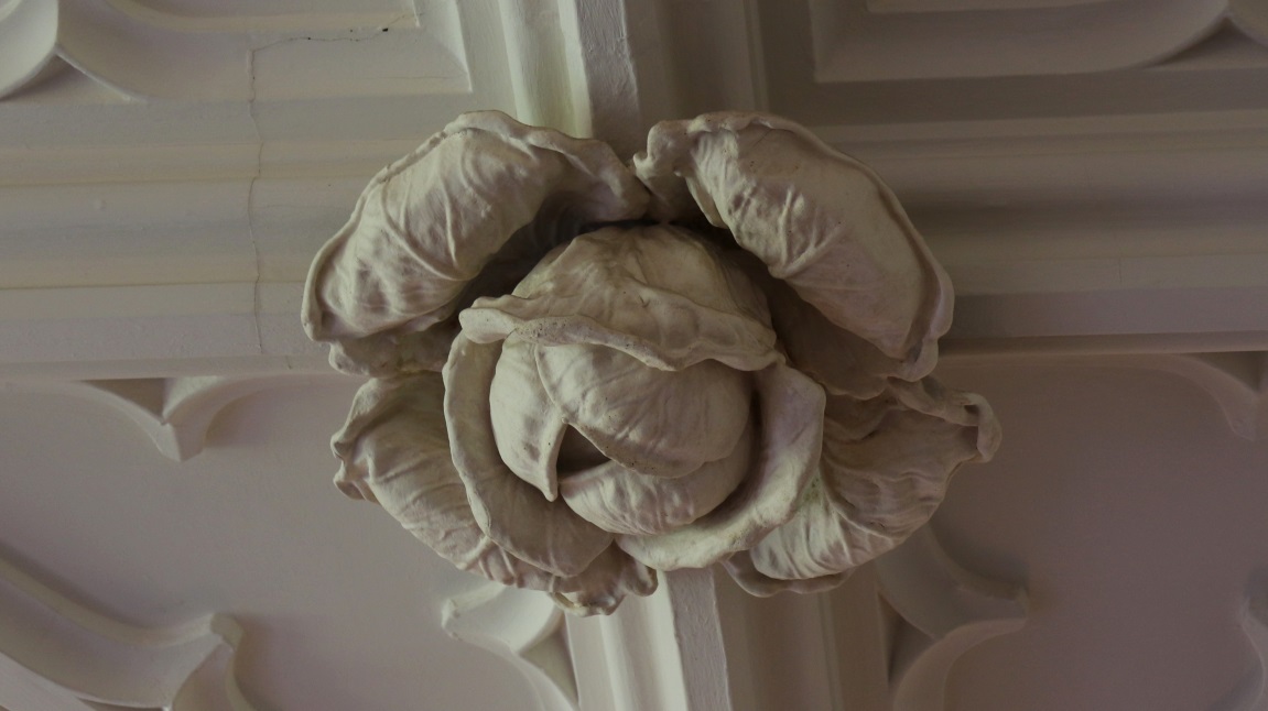 Ceiling cabbage