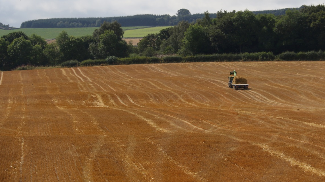 Passing a hay farm in Birkhill