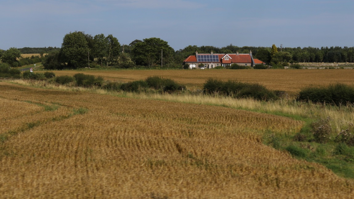 Farm in Fala Dam