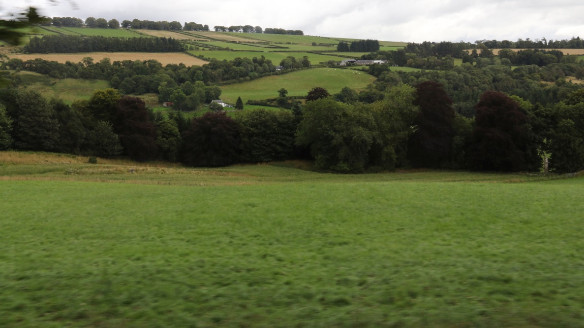 Farms in Rochallie