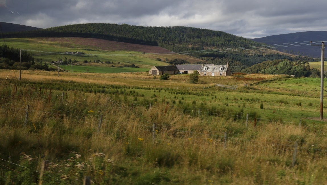 Robertson W and Son farm