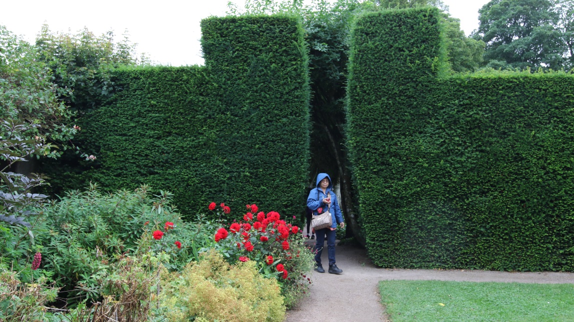 Exploring the gardens
