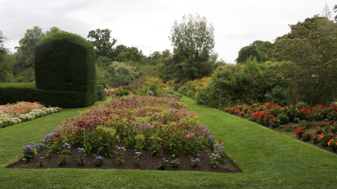 Nice flower garden
