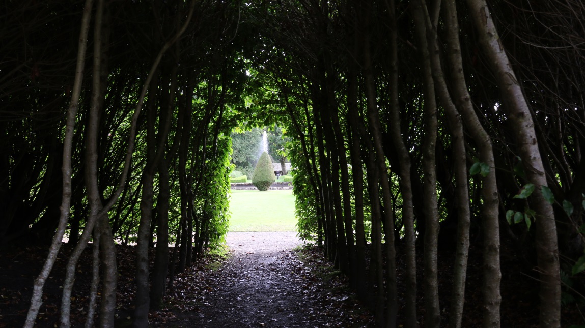 Passage into the garden