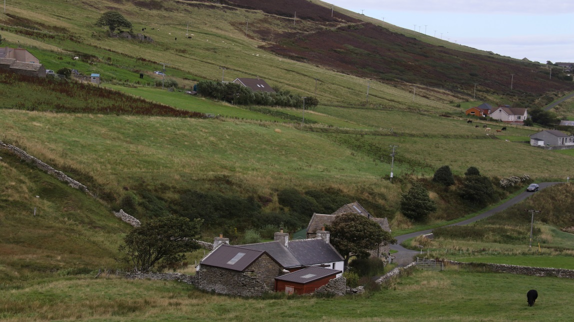 Western Finstown