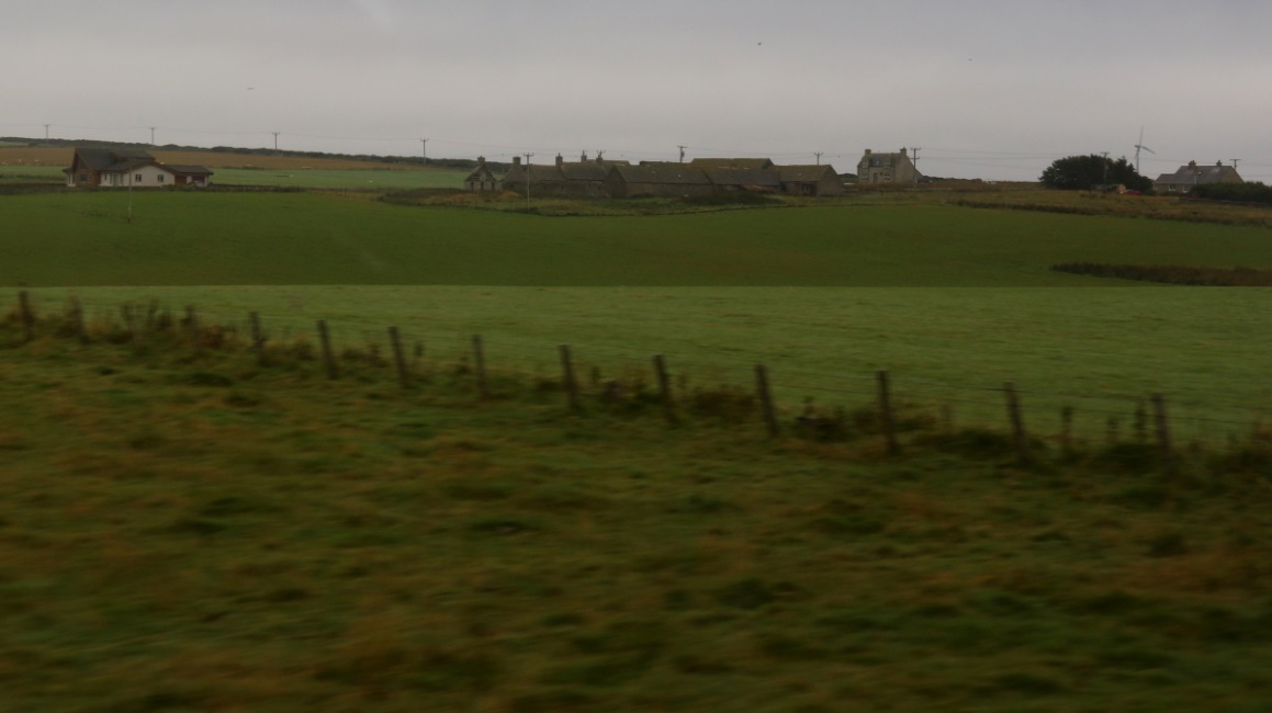 Houses on the coast