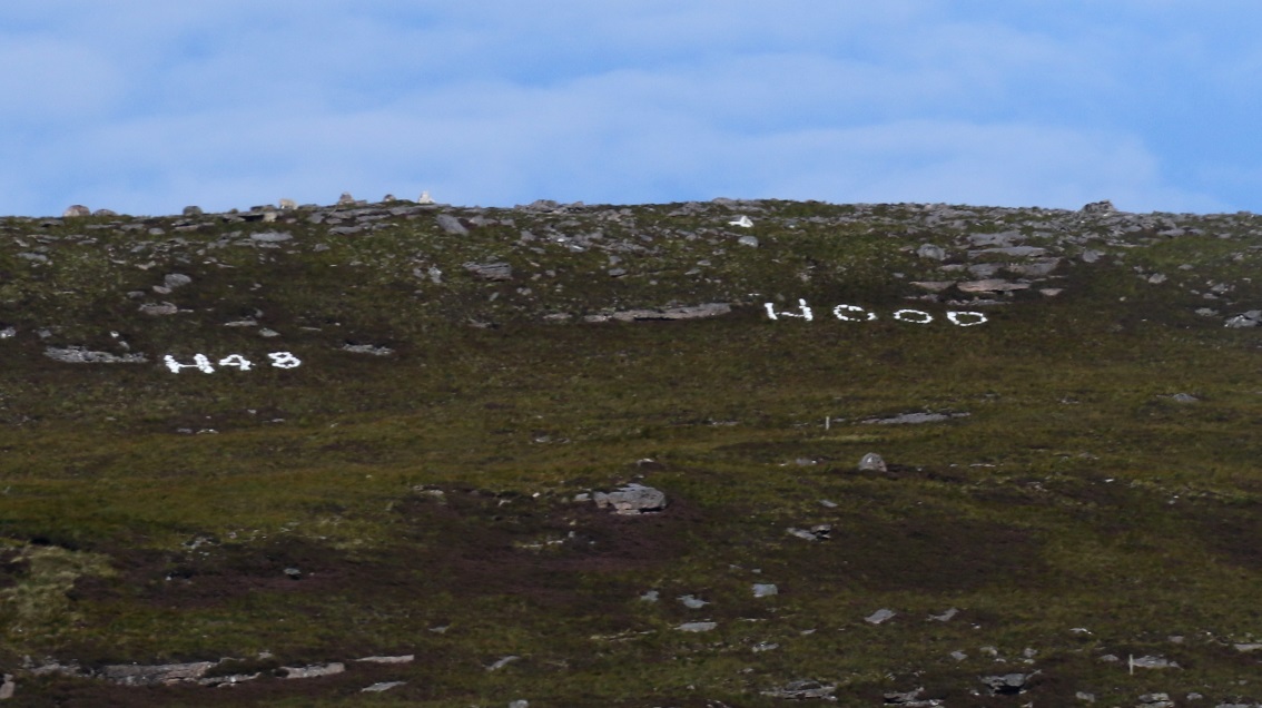 Graffiti with white stones