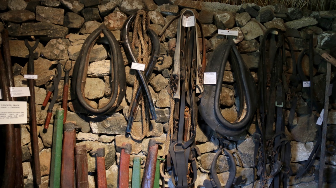 Horse harnesses