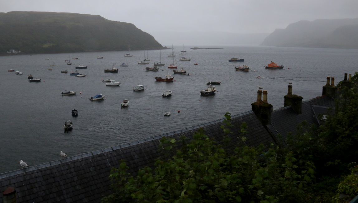 Portree Harbour from above