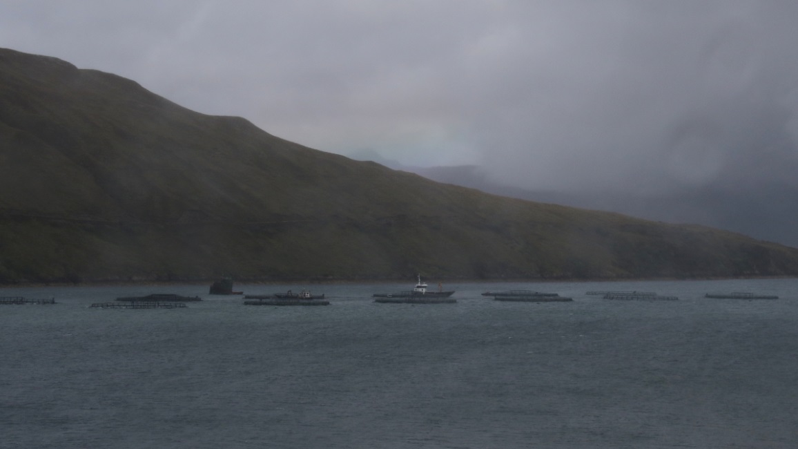 Salmon fish farm in Loch Ainort