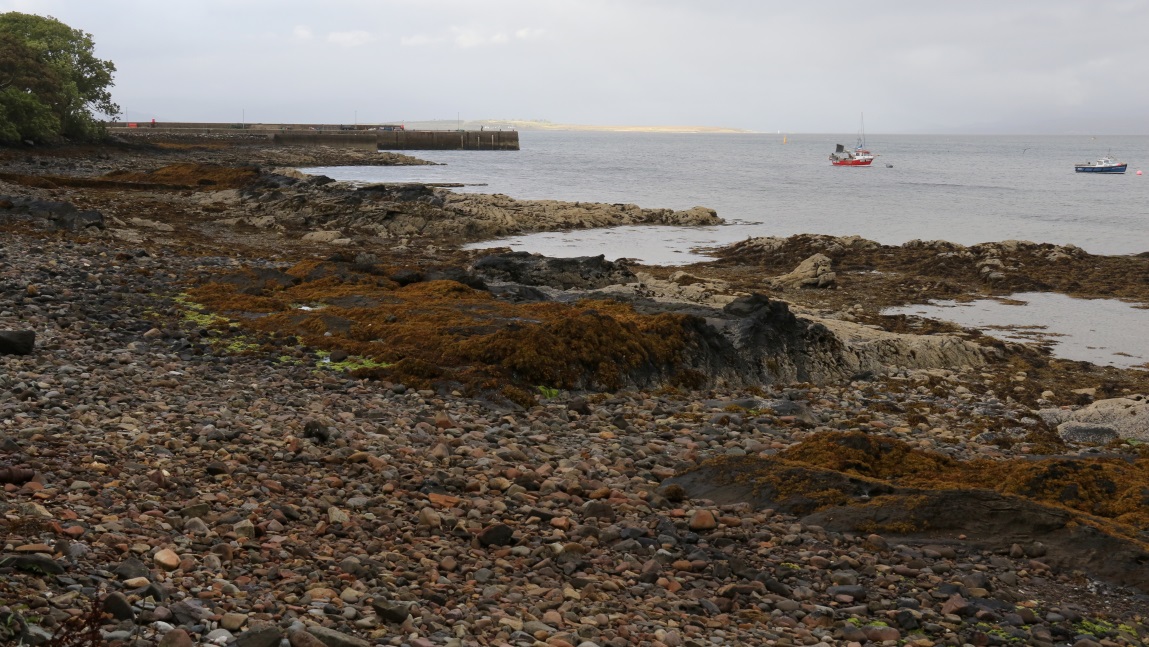 Walking along the shore