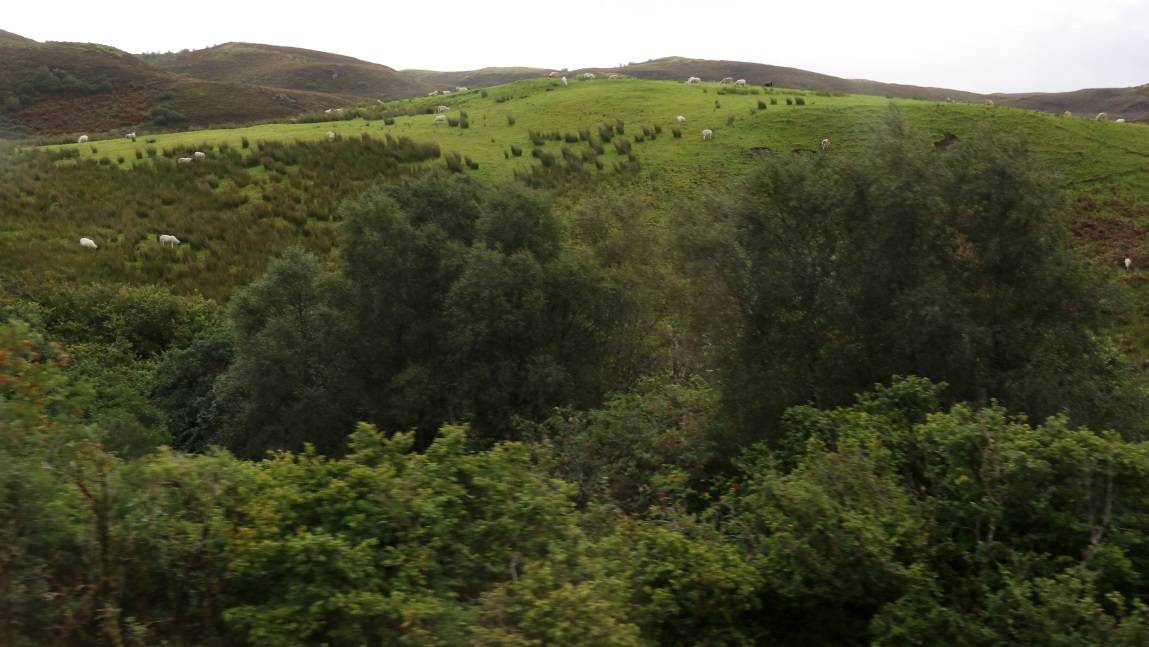 South on Route A851
