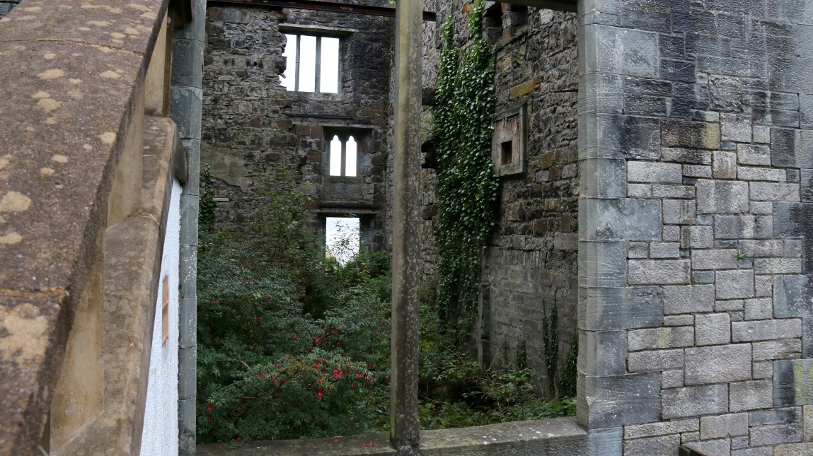 Nature is taking over