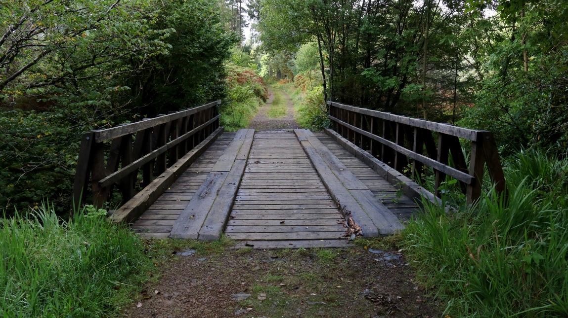 Stream crossing