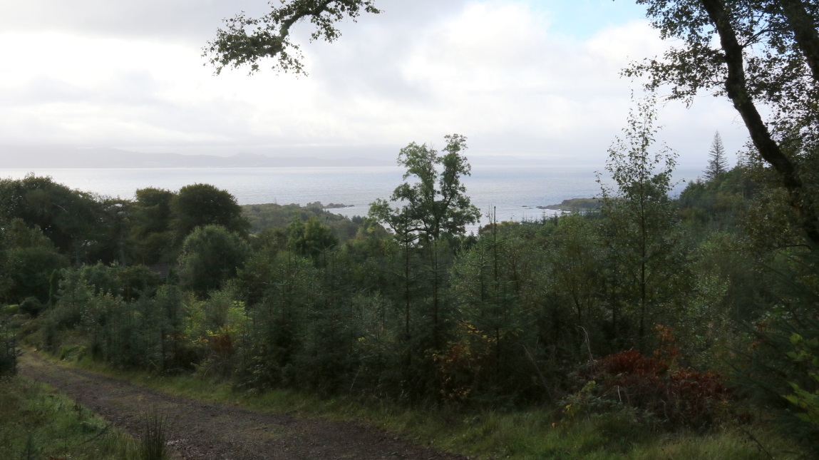Looking out from the hillside
