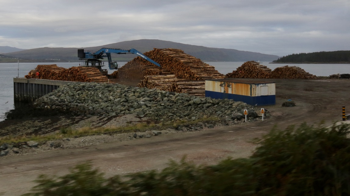 Logs waiting to be loaded