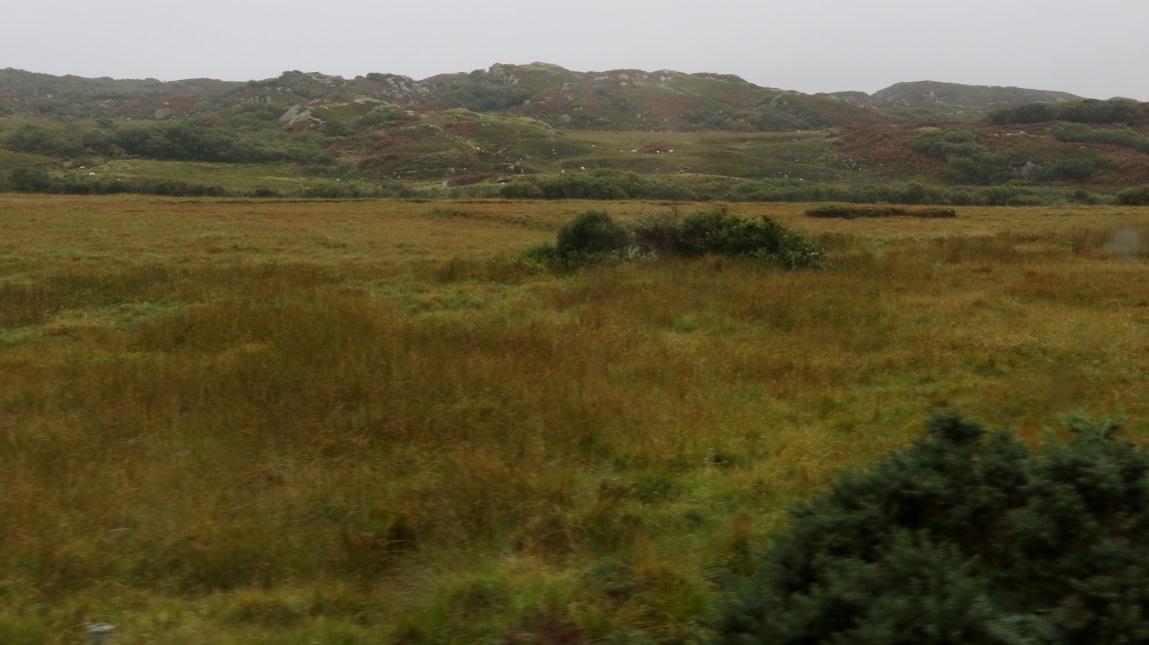 Landscape in Aridhglas