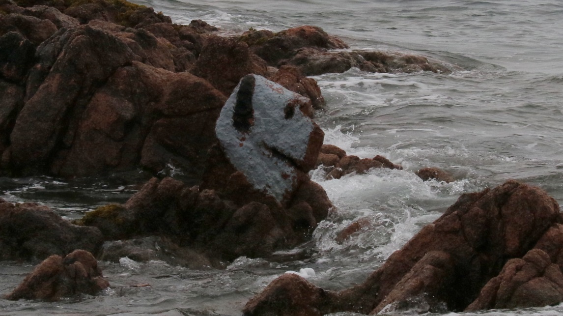 Dog on a rock