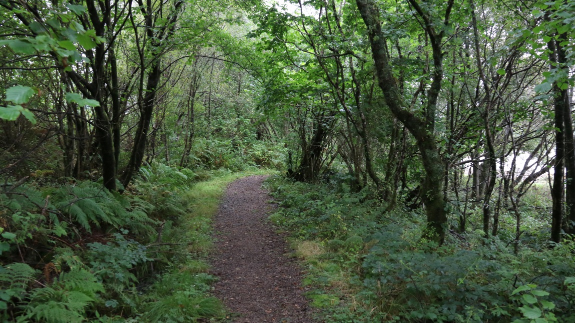 Neat walking trail