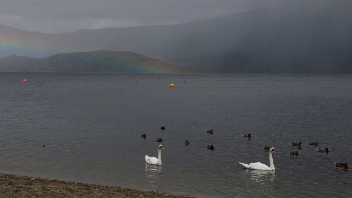 West shore of Loch Lomond