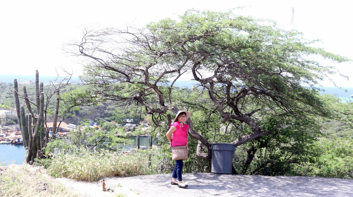 At the top of Fort Nassau