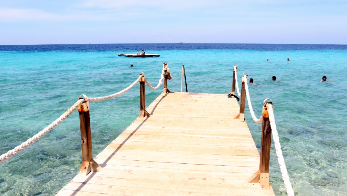 Dock and swimming area
