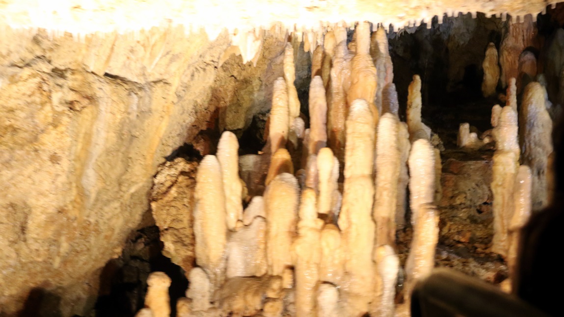 Stalagmites rise from the floor