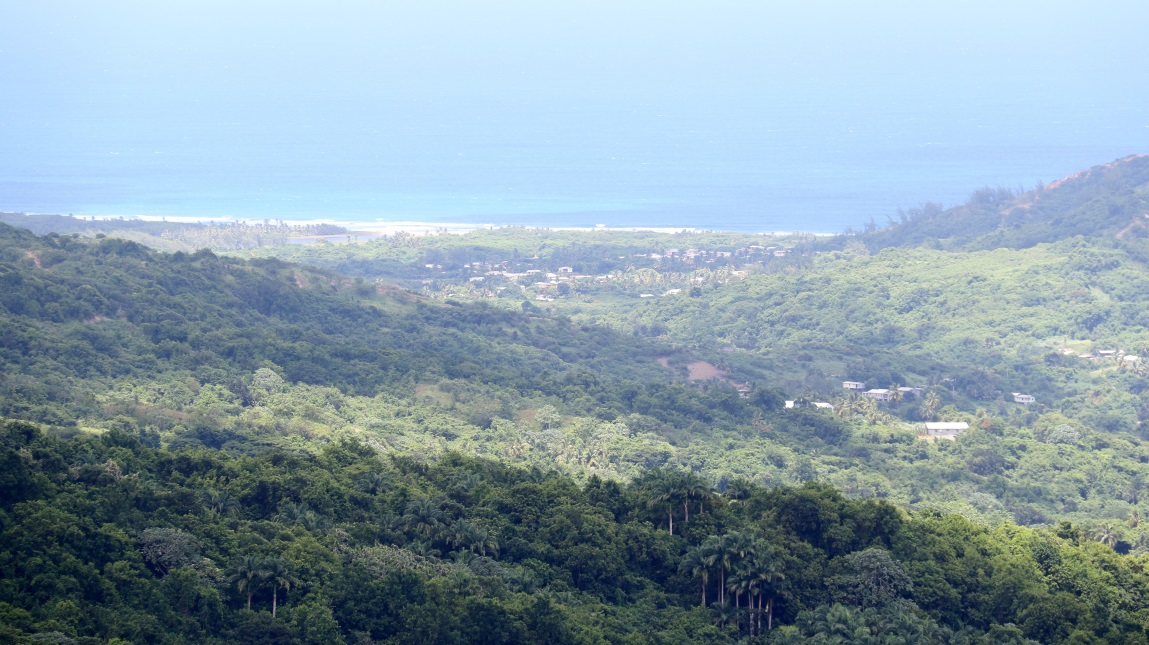 Mount Misery