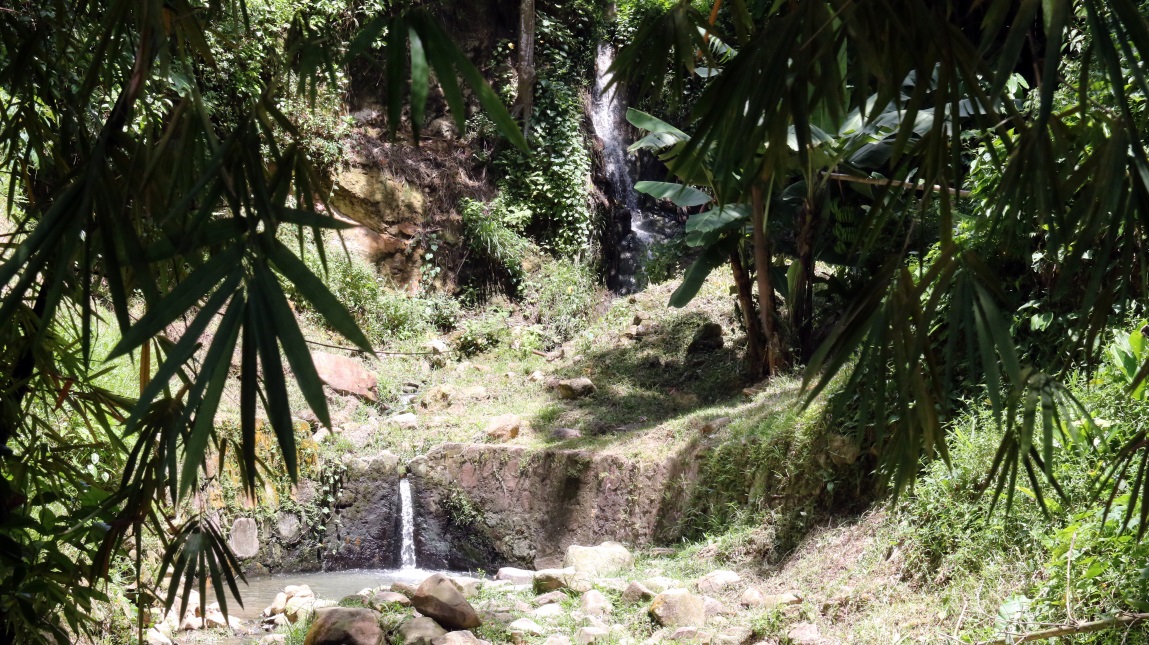 Waterfall hidden in the background
