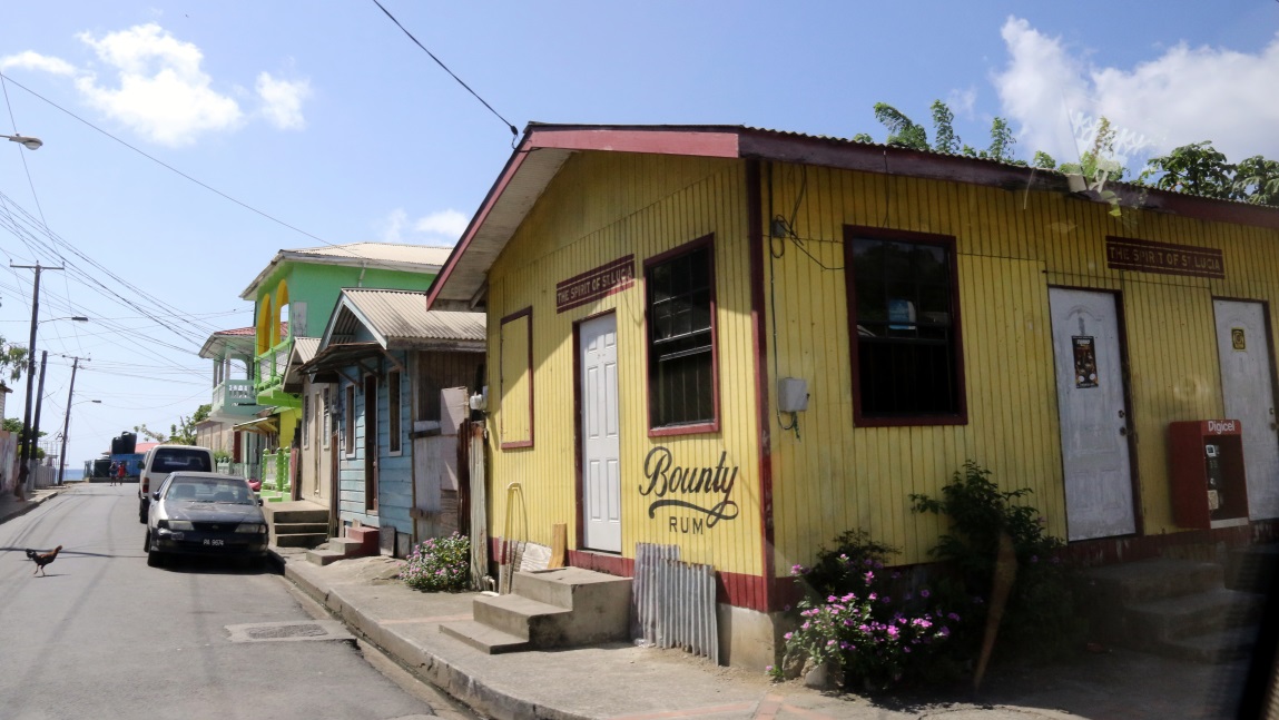 Chicken crossing the street