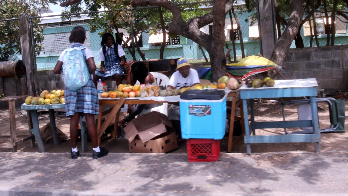 SR Olivia David Primary School