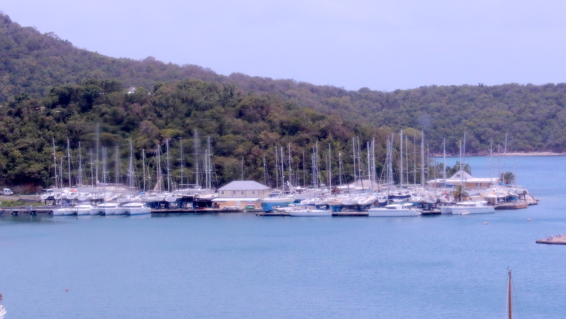 Nice collection of boats