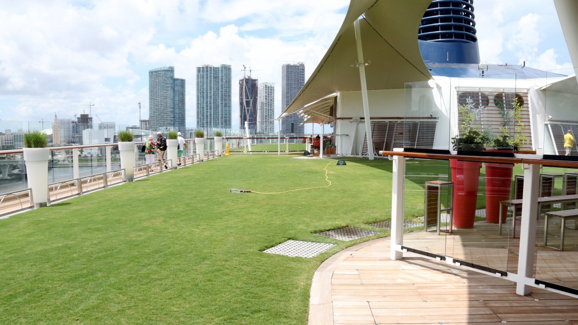 Grass on a ship