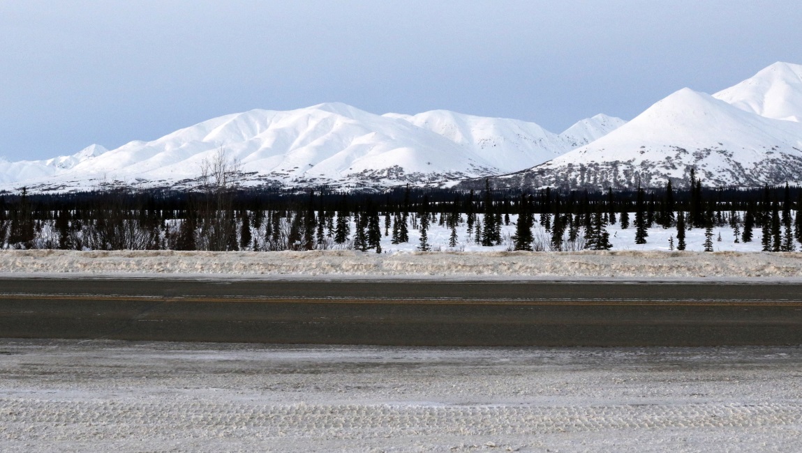 View in Broad Pass