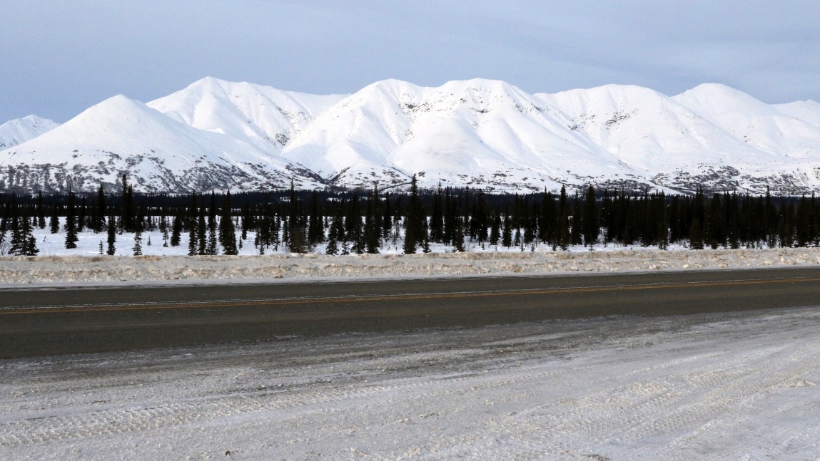 Looking West