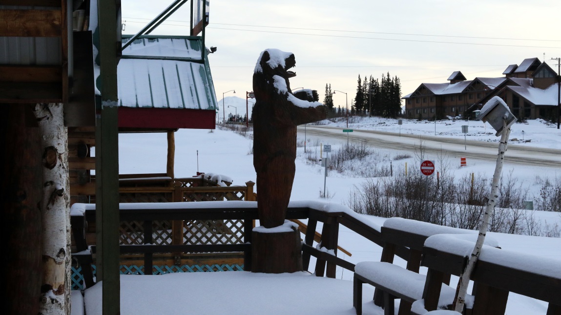 Bear keeps watch