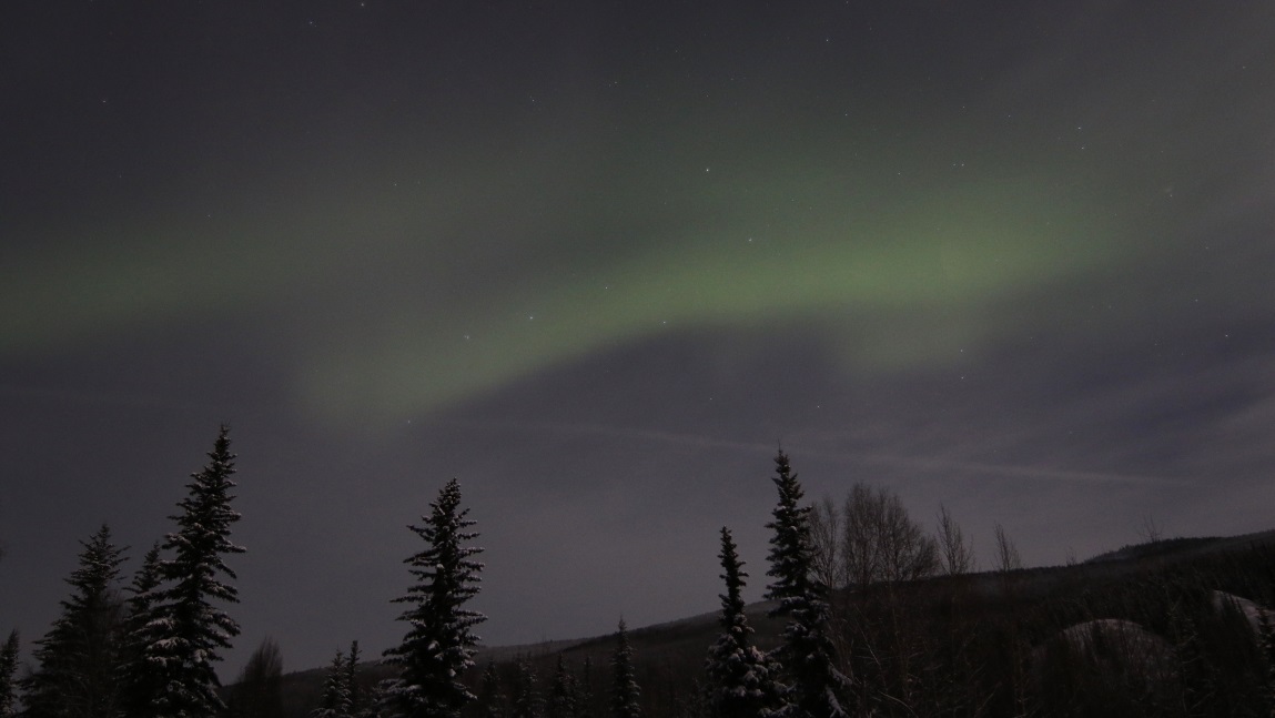 Aurora