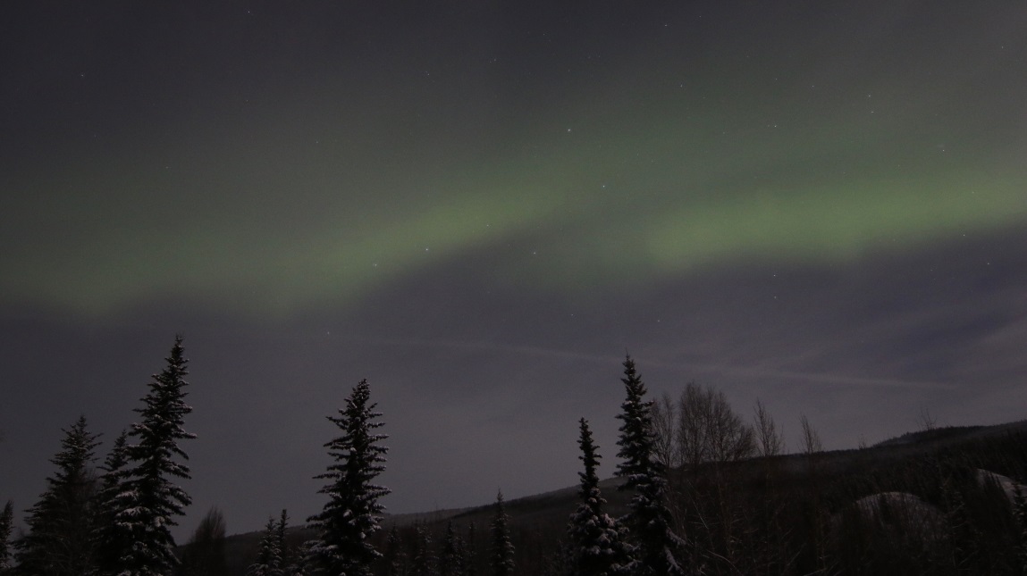 Aurora