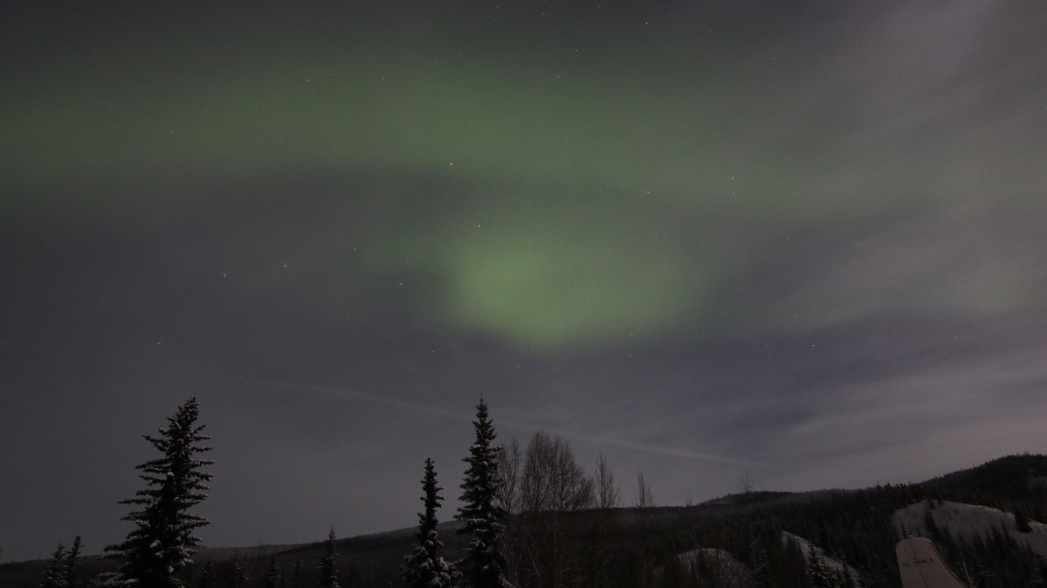 Aurora