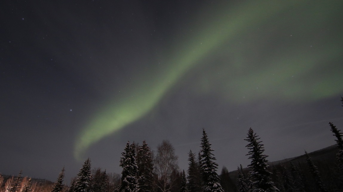 Aurora