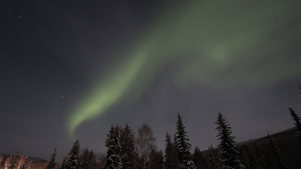 Aurora