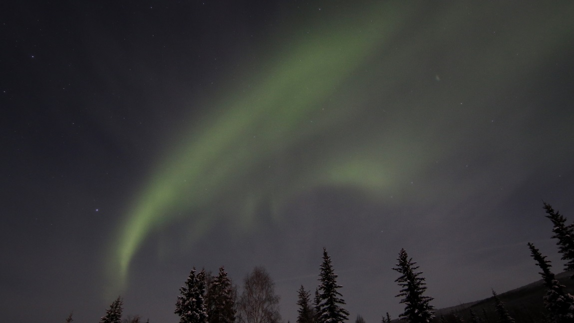 Aurora