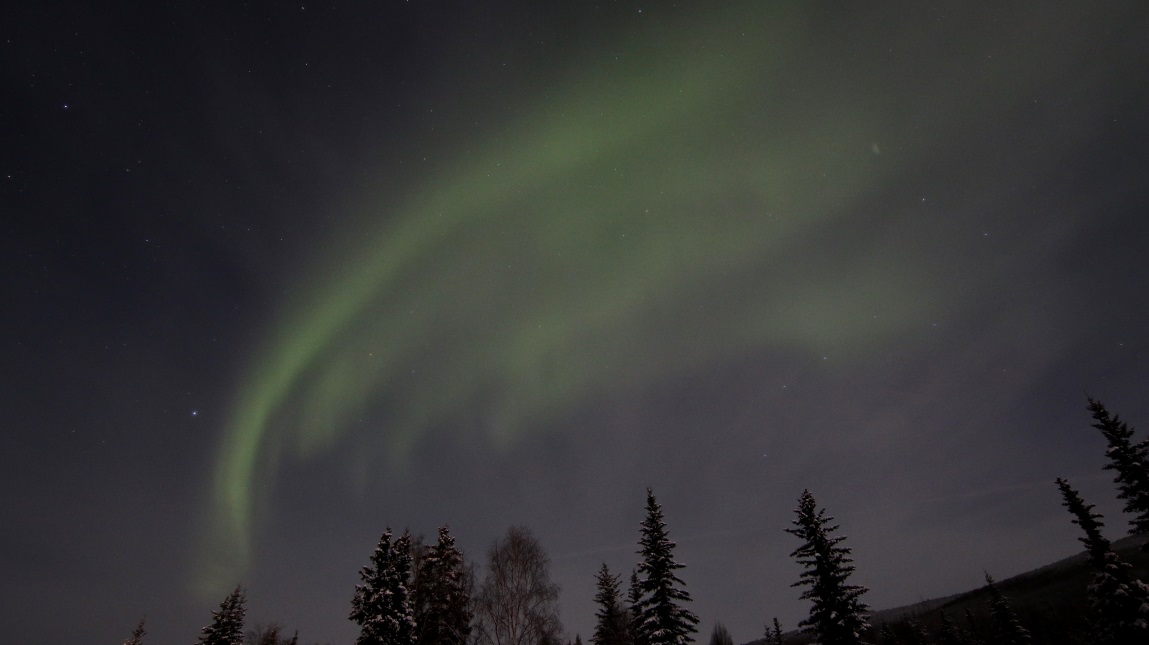 Aurora