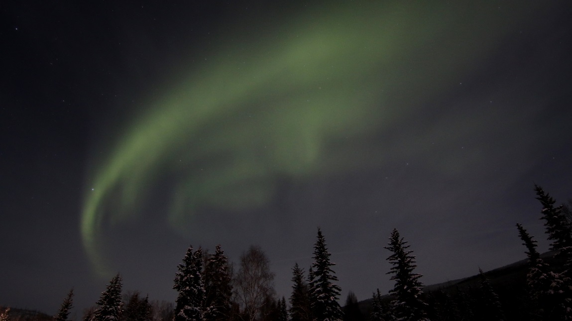 Aurora